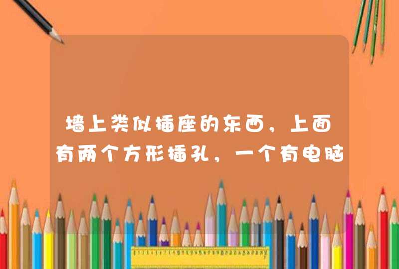 墙上类似插座的东西，上面有两个方形插孔，一个有电脑图示，一个电话图示，那是什么东东啊