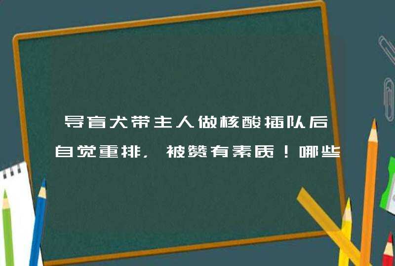 导盲犬带主人做核酸插队后自觉重排，被赞有素质！哪些犬类会被作为导盲犬？