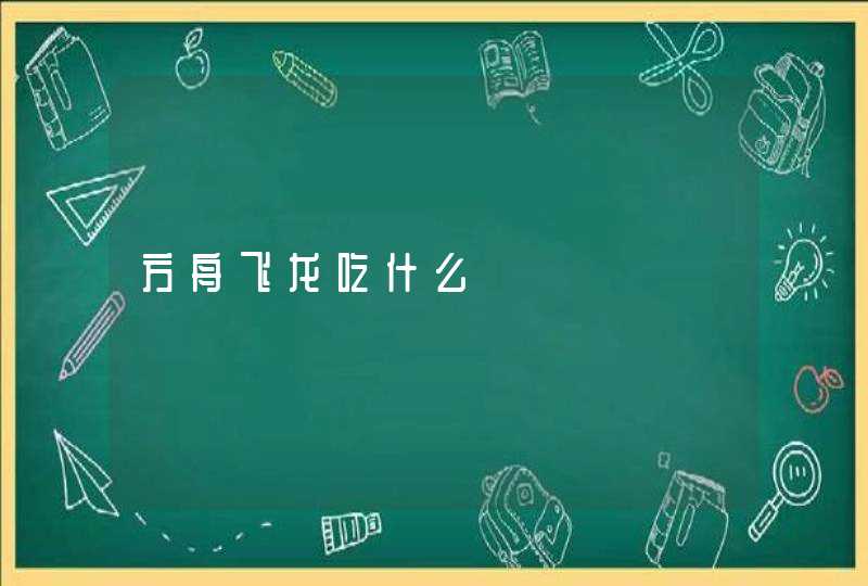 方舟飞龙吃什么