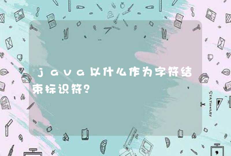 java以什么作为字符结束标识符？