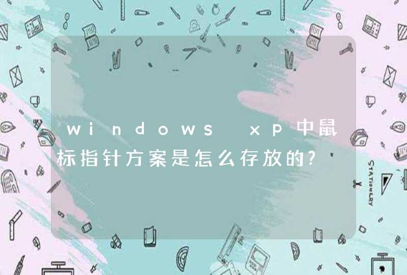 windows xp中鼠标指针方案是怎么存放的?